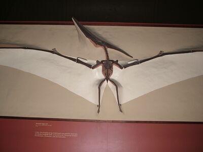 DSCF8169.JPG