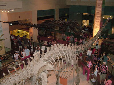 DSCF8170.JPG