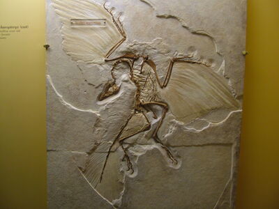 DSCF8172.JPG
