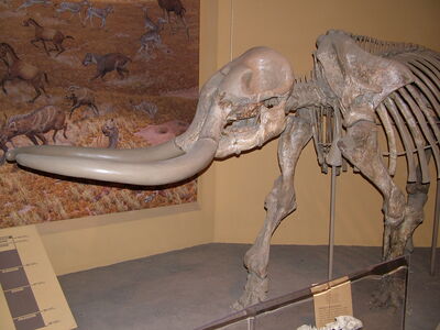 DSCF8174.JPG
