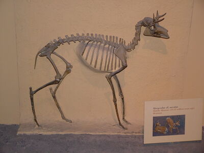 DSCF8175.JPG