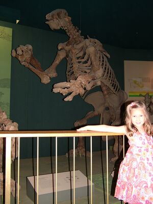 DSCF8176.JPG