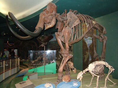 DSCF8177.JPG