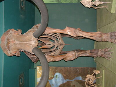 DSCF8178.JPG