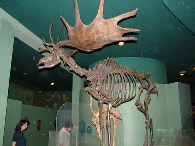 DSCF8179.JPG
