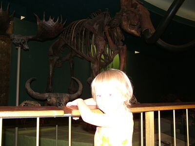 DSCF8180.JPG
