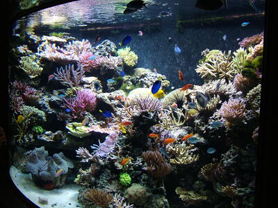 DSCF8184.JPG