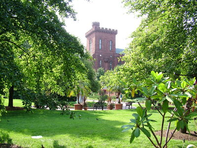 DSCF8204.JPG