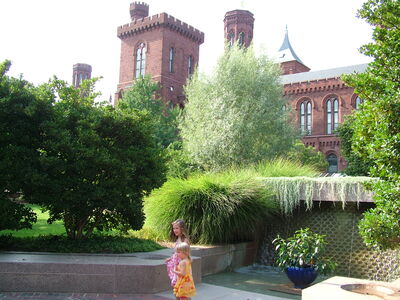 DSCF8206.JPG