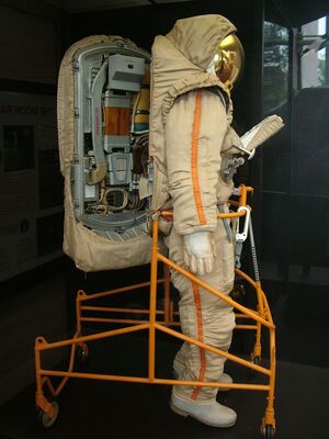 DSCF8252.JPG