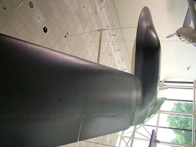 DSCF8293.JPG