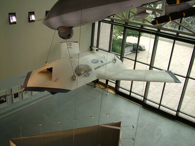 DSCF8295.JPG