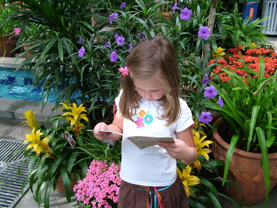 DSCF8322.JPG