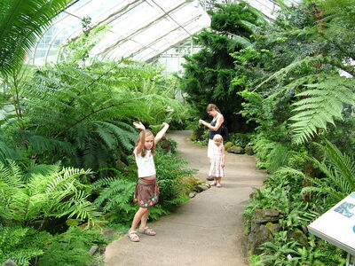 DSCF8324.JPG