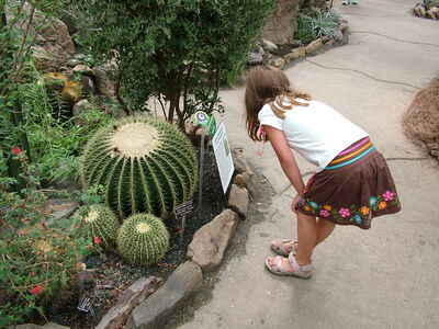 DSCF8326.JPG