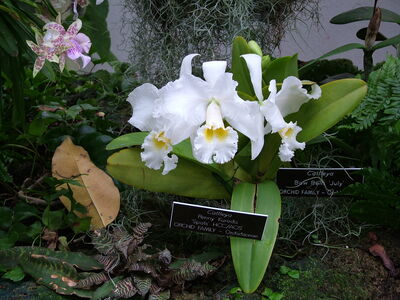 DSCF8327.JPG