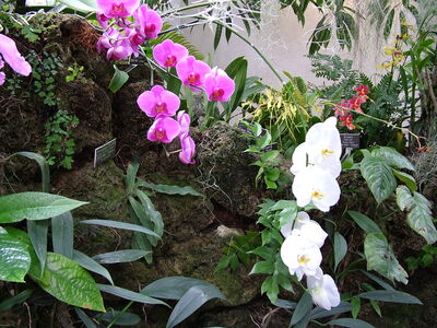 DSCF8328.JPG