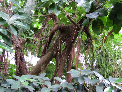 DSCF8329.JPG