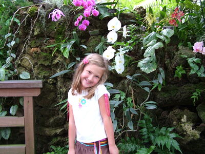 DSCF8331.JPG