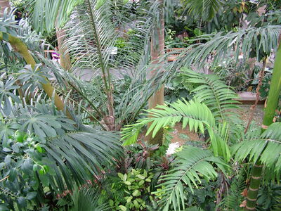 DSCF8336.JPG