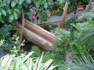DSCF8337.JPG