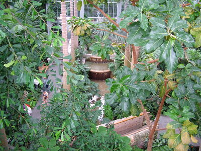 DSCF8338.JPG