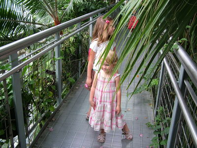 DSCF8340.JPG