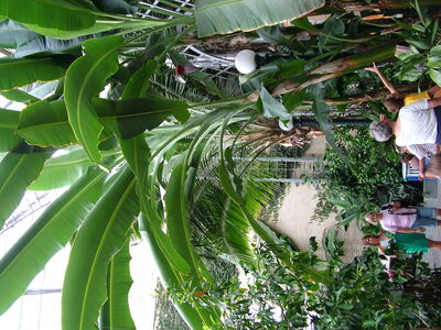 DSCF8342.JPG