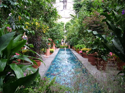 DSCF8343.JPG