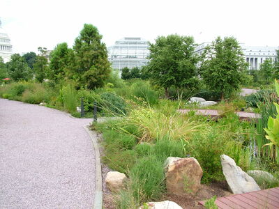 DSCF8349.JPG