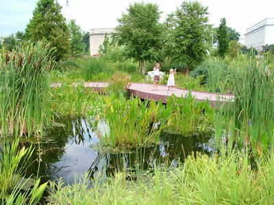 DSCF8350.JPG