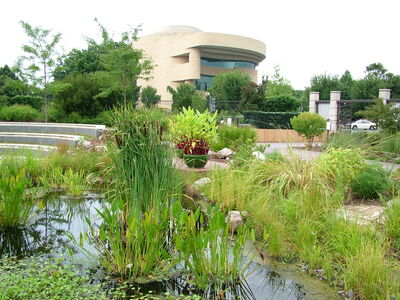 DSCF8353.JPG
