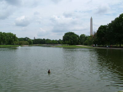 DSCF8372.JPG