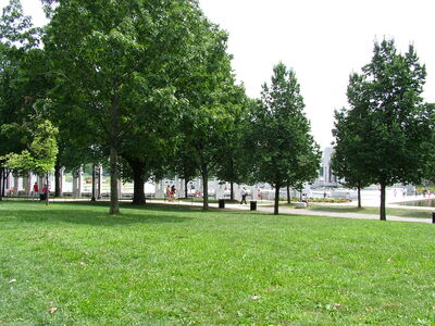 DSCF8373.JPG