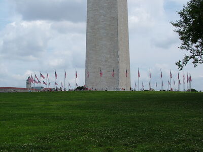 DSCF8384.JPG
