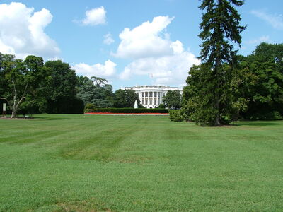 DSCF8396.JPG