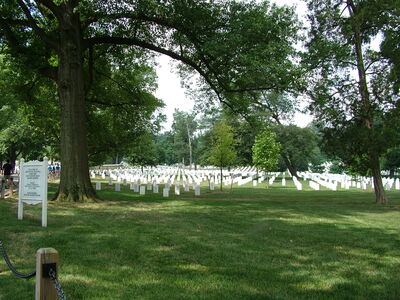 DSCF8409.JPG