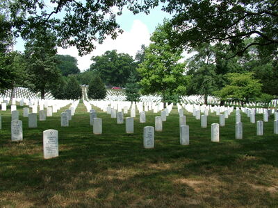 DSCF8410.JPG