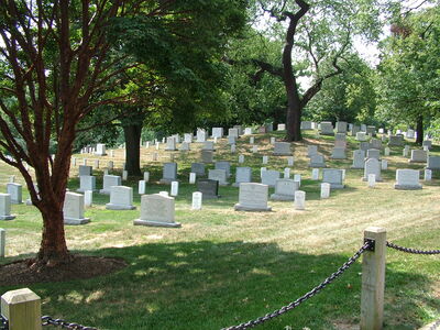 DSCF8423.JPG