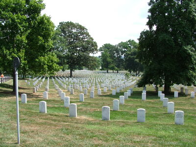 DSCF8425.JPG
