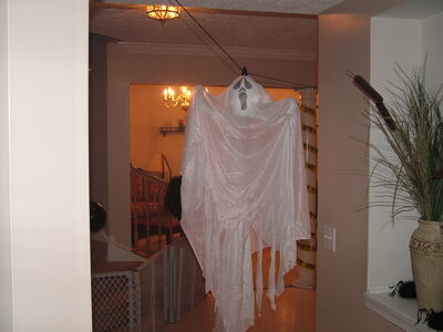 DSCF8803.JPG