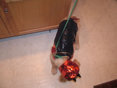 DSCF8826.JPG
