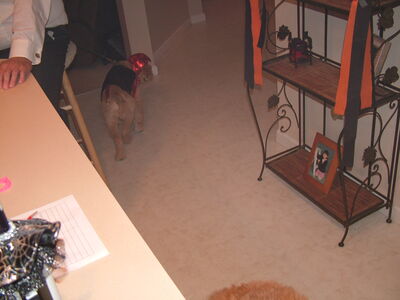 DSCF8827.JPG