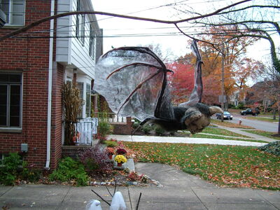 DSCF8848.JPG