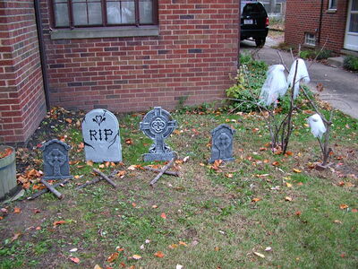 DSCF8850.JPG