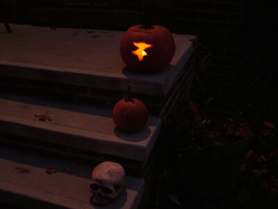 DSCF8856.JPG
