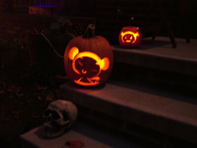 DSCF8857.JPG
