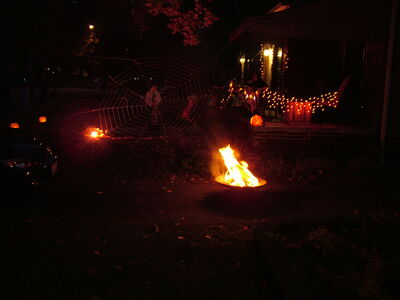 DSCF8859.JPG