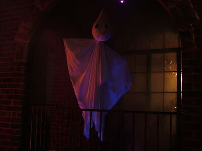 DSCF8861.JPG