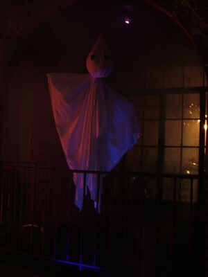 DSCF8862.JPG